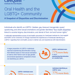 Cover of report titled Oral Health and the LGBTQ+ Community