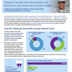 Cover of report Veteran Dental Care Stimulates the Economy and Improves Overall Health