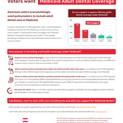 Image of one-pager Voters want Medicaid Adult Dental Coverage