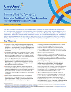 Image of executive summary cover From Silos to Synergy