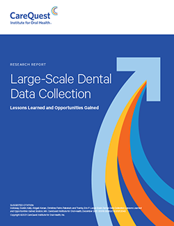 Image of report cover Large-Scale Dental Data Collection